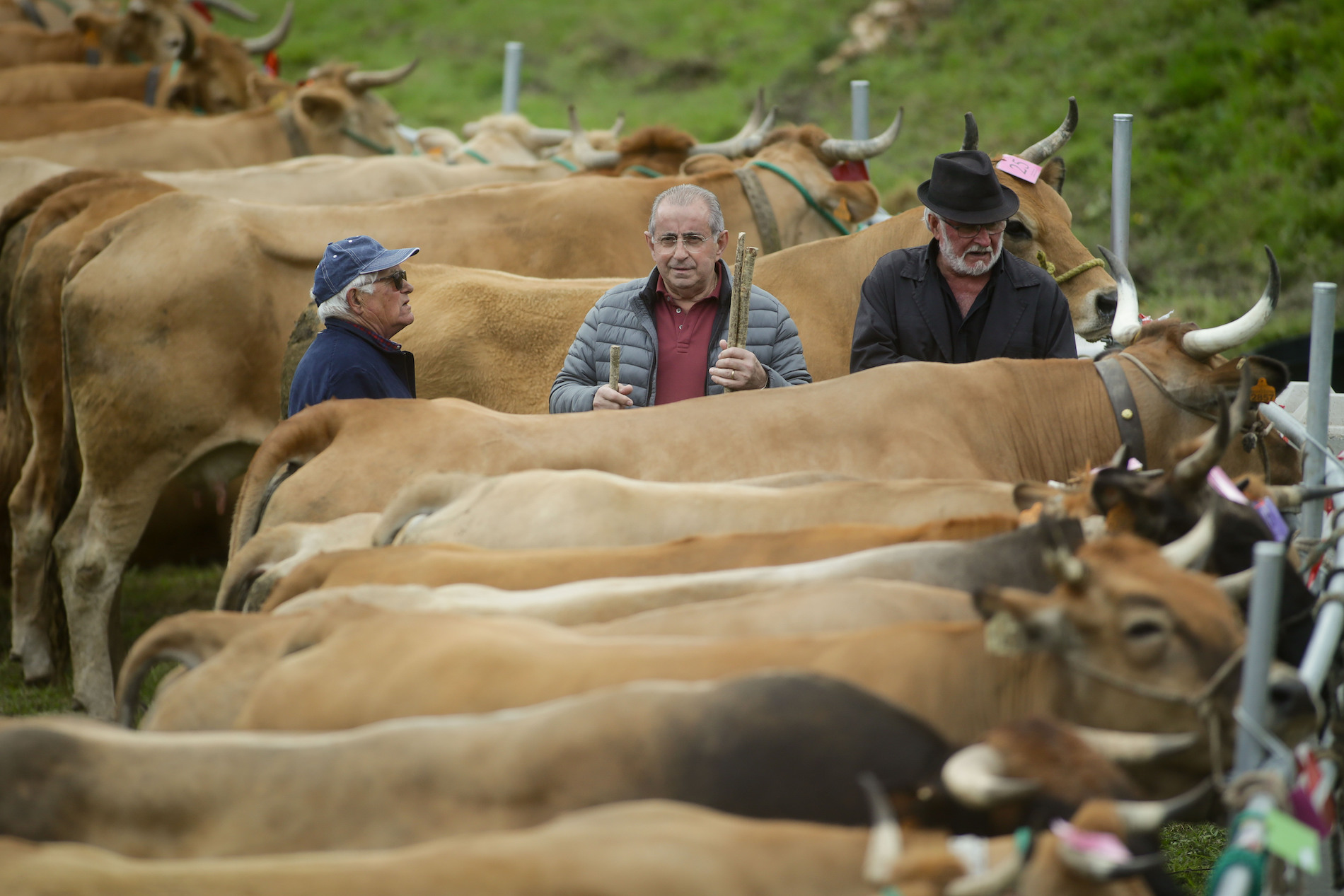 Foto: CARLOS CASTRO/EP - 