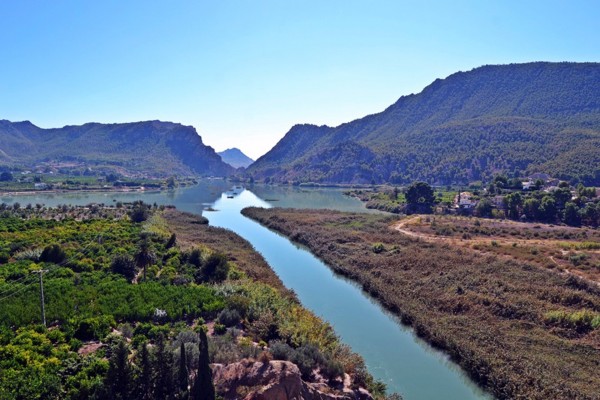 El aumento de temperatura reducirá el hábitat potencial de especies como la trucha común en ríos