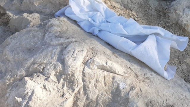 Benidorm descubre en el Tossal un relieve único en los territorios romanos