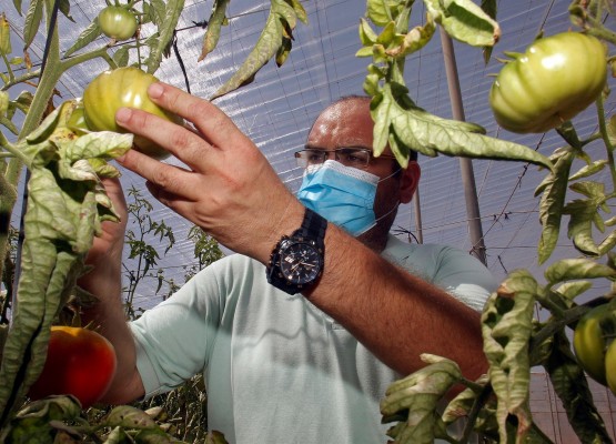 Héroes alimentarios