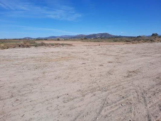 AE-Agró exige a la Generalitat la paralización del PAI de la playa del Puig