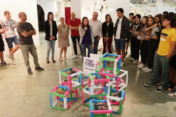 El Museo del Azulejo de Onda expone obras de material sostenible creadas por alumnos