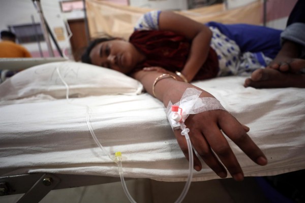 Llega a España la primera vacuna contra el dengue, que tiene una eficacia del 80%
