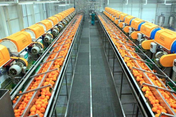 Zuvamesa dispara ventas un 35% hasta los 71,7 millones y multiplica beneficio hasta los 5 millones