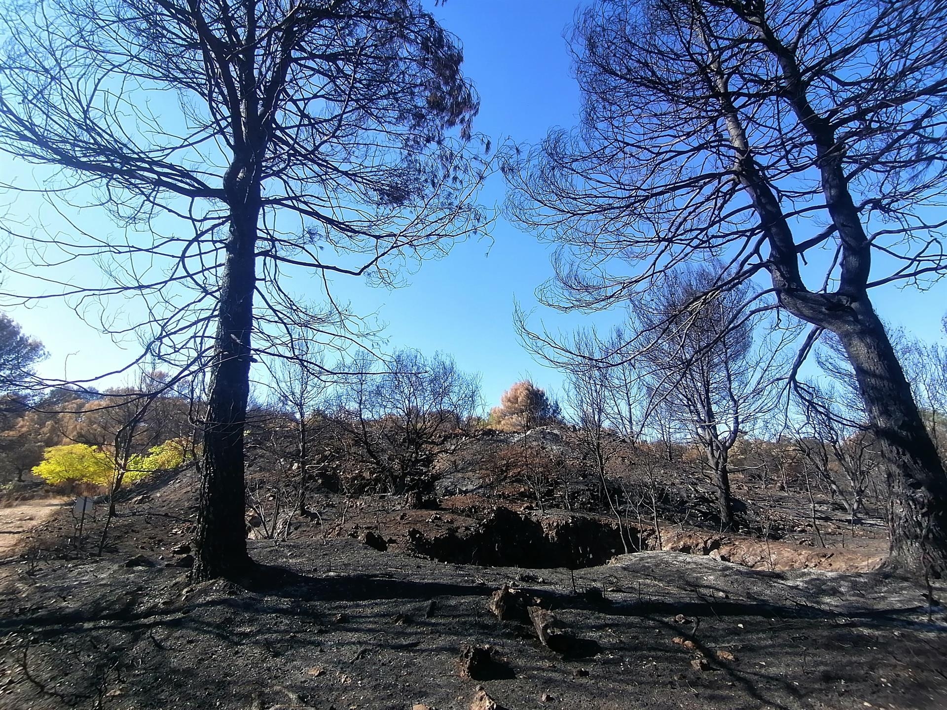 El Consell repartirá diez millones a los consistorios que tengan plan de prevención de incendios