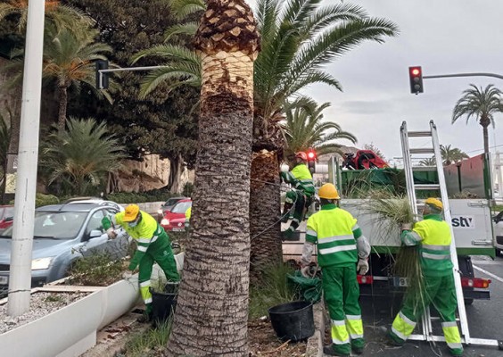 Alicante prorroga la contrata de zonas verdes: otro año de servicio para STV, pendiente del Supremo