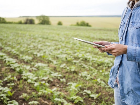 El futuro del sector agroalimentario: la agroindustrialización
