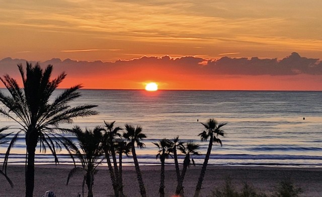 La Generalitat concede a Canet el distintivo de Municipio Turístico de Relevancia
