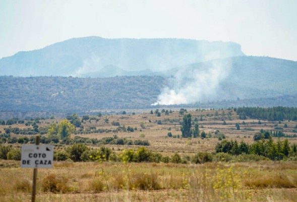 La Diputació destina 100.000 euros a actuacions de vedats de caça que milloren la fauna i l'ecosistema