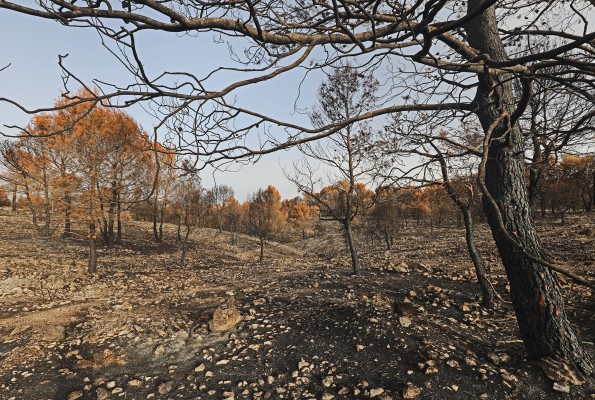 La Diputación incrementa un 300% las ayudas para la prevención de incendios forestales