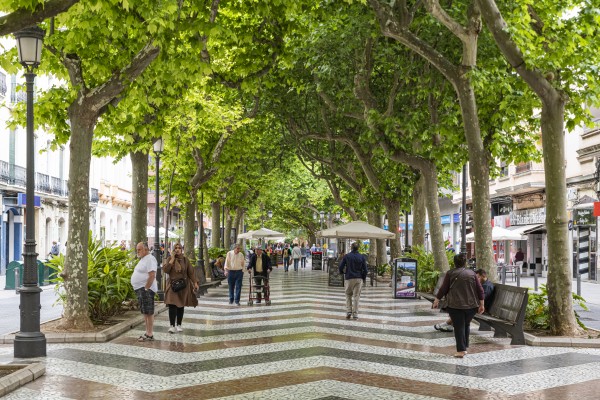Gandia: solidez, coaliciones y escisiones en un 28M en el que gobernar va más allá de unas siglas