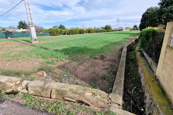 Nuevo objetivo en la Marjaleria tras Patos Gumbau: urbanizarán las zonas del Serradal y Riu Sec