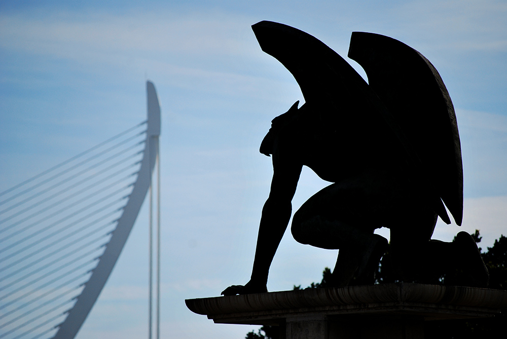 Ruta por el animalario valenciano