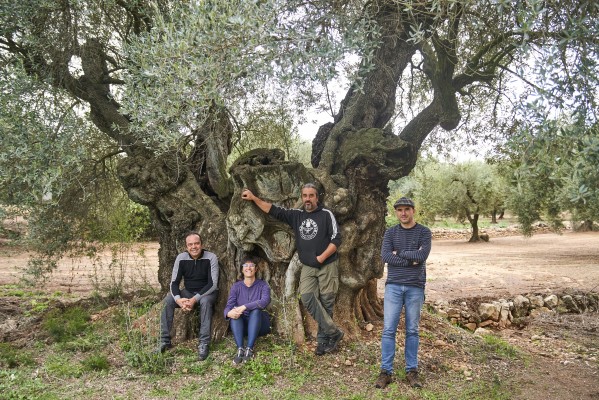 La Jana protegeix l'ecosistema mediterrani amb la producció d'oli ecològic d'alta qualitat