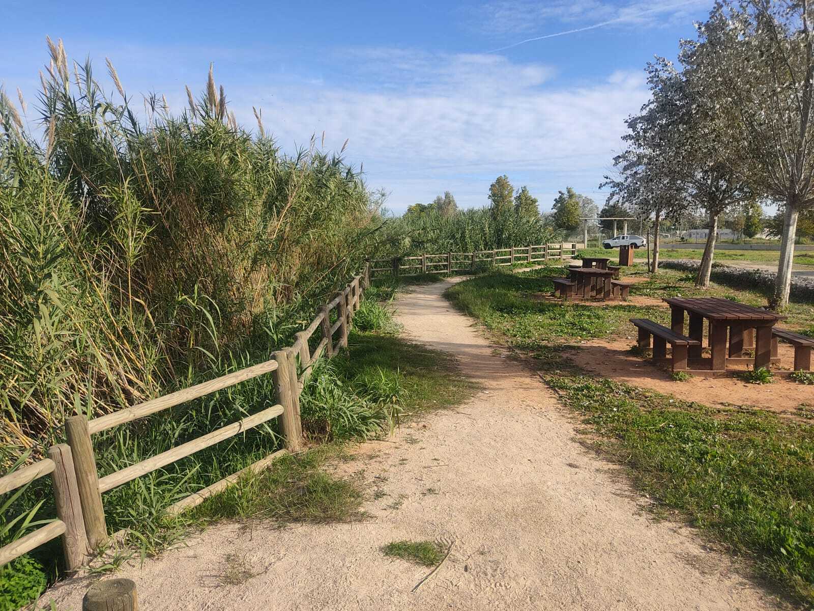 Foto: Ajuntament d'Alzira - 