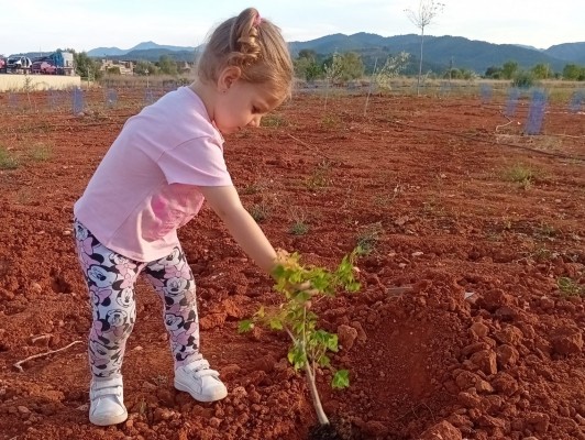Los vecinos de Onda dejan su huella en el Bosque Olímpico con la plantación de nuevos árboles 