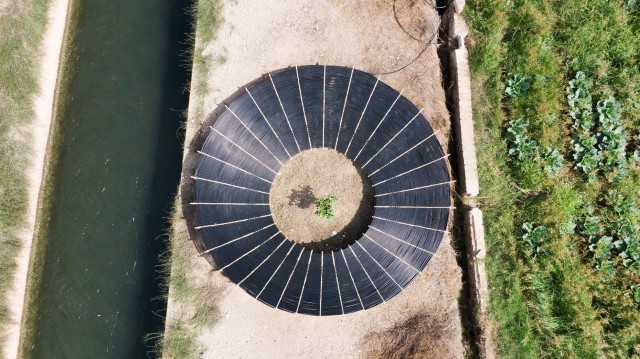 Miradors de l'horta abre la llamada a proyectos para su cuarta edición 