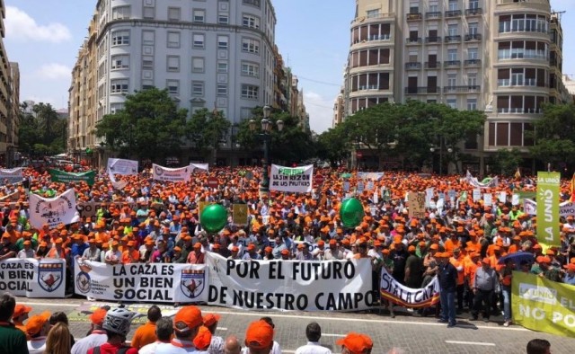 Más de 50.000 cazadores recorrerán las calles de València este sábado: 