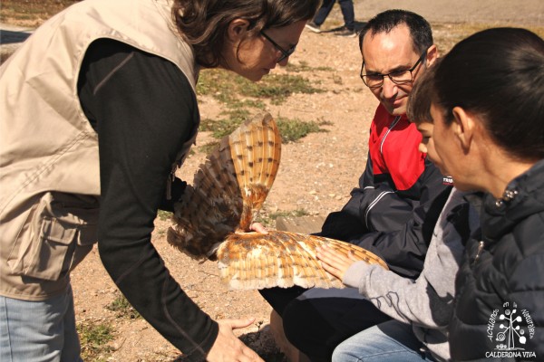 
Castelló abre otra convocatoria para empresas organizadoras de talleres de educación ambiental