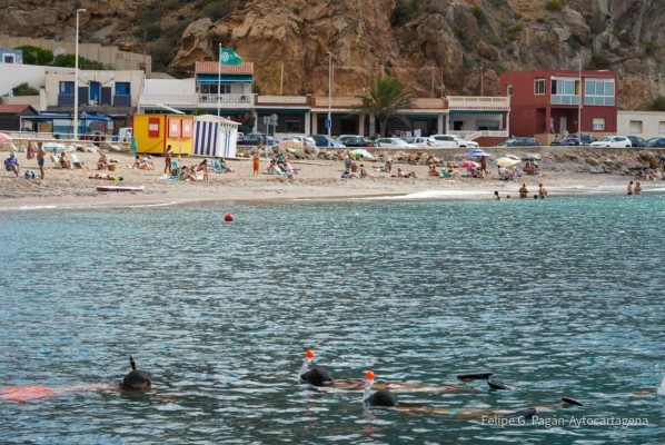 La Región lucirá este verano 34 banderas azules: se estrenan El Portús, Las Salinas y Playa Derribada