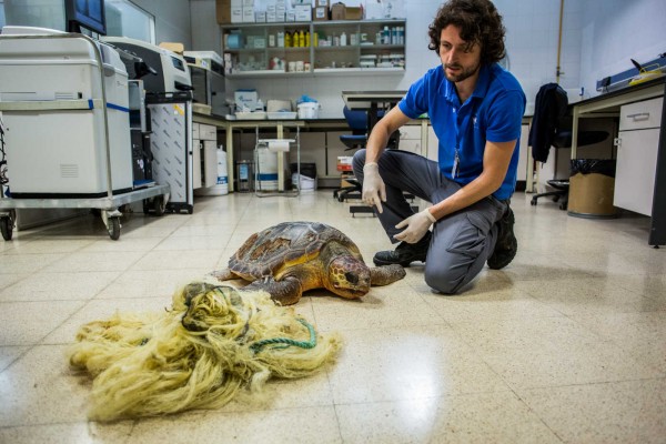 Un descubrimiento del Oceanogràfic remueve la ley de Pesca de EEUU