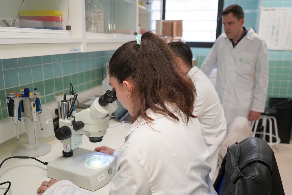 Investigadores de la UCV desarrollan un vino probiótico 

