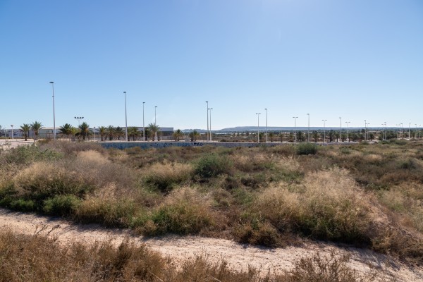 Elche cede al Consell su figura de urbanizador en el suelo de IFA para que allane el terreno a PLD Space