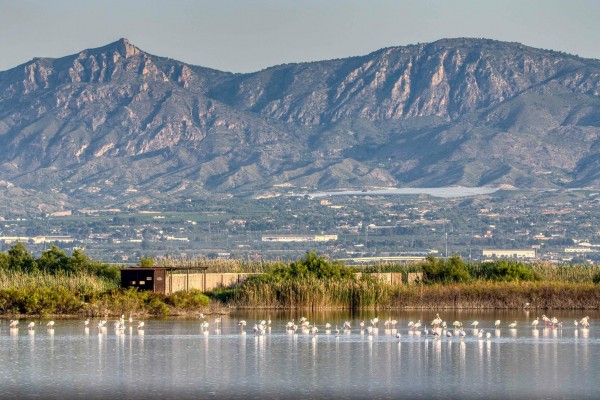 Crevillent obtiene el reconocimiento de municipio turístico de singularidad 