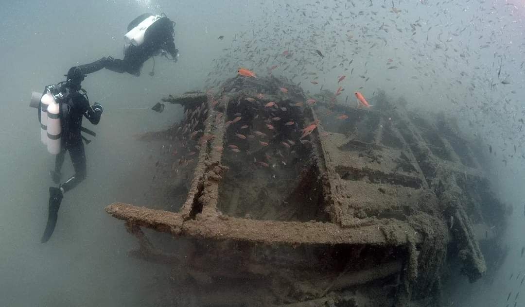 Foto: Fundación Palarq - 