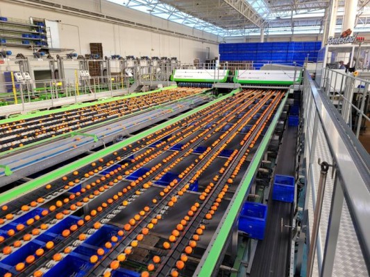 El campo de la Región mira a Canadá: diez empresas agrícolas buscan negocio en Toronto