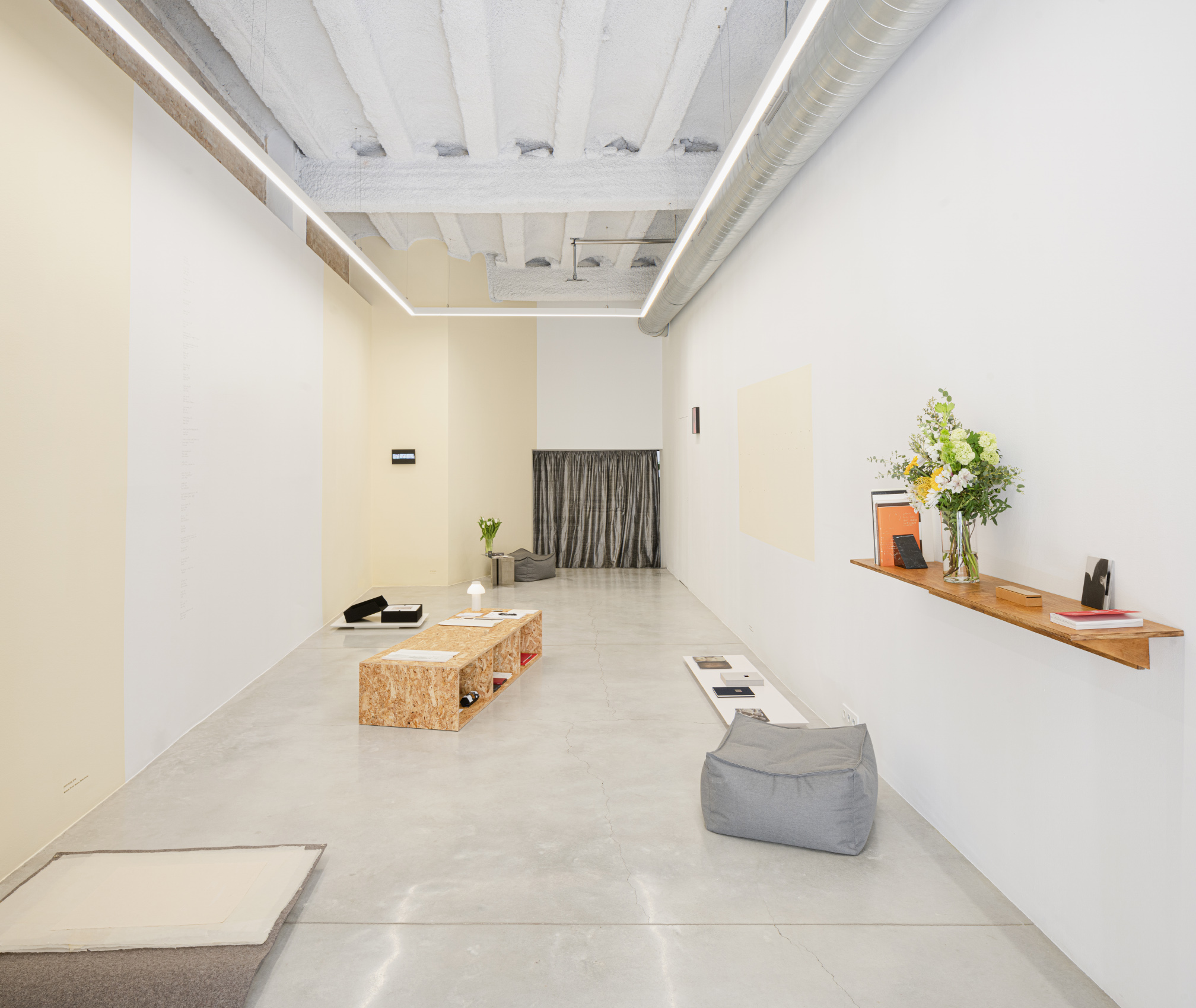 Foto: David Zarzoso - 