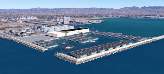 Next Tuna plantea invertir más de 70 millones en PortCastelló pero la tramitación no avanza