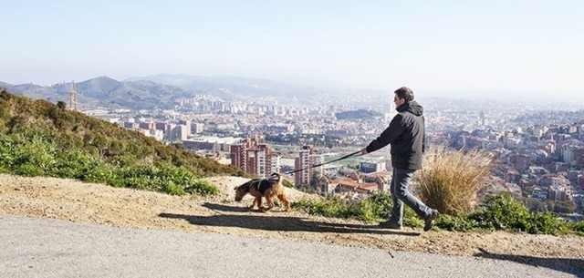Un estudio advierte de la relación entre pasear al perro con correa y sufrir lesiones
