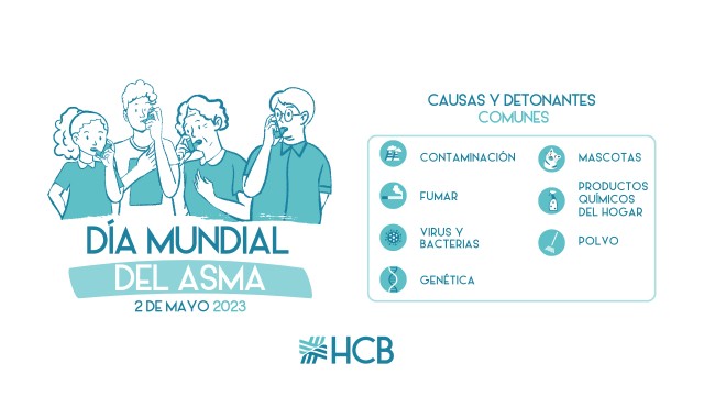Los principales factores de riesgo que aumentan la incidencia del asma