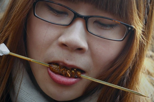 El consumo de insectos aporta tanto hierro como el de carne de vacuno