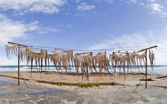 Ferits de Lletra: Cuineres del territori, la memòria del Mediterrani