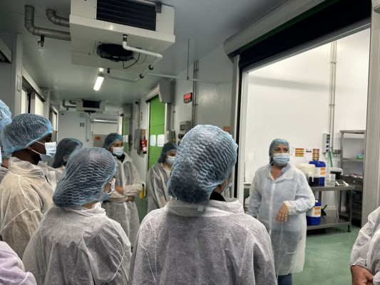 Grupo Gallo abre las puertas de su planta de Ta-Tung a los estudiantes de la maratón 24H de Innovación
