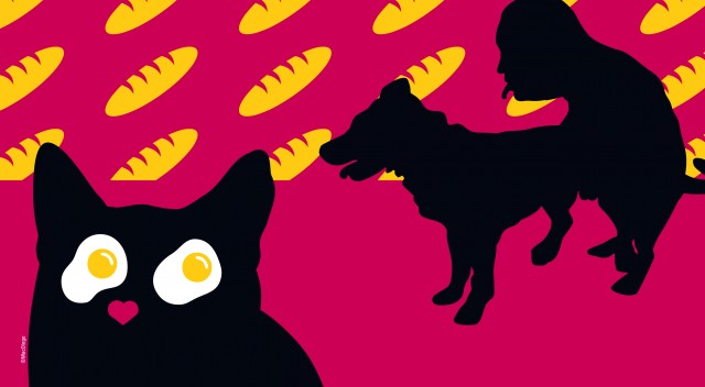 Perro, gato, pan y huevos 