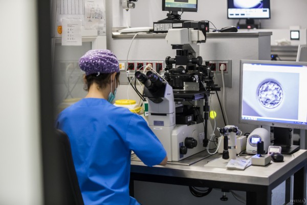 De la IA a embriones sin óvulos y espermatozoides, así avanza la medicina reproductiva 