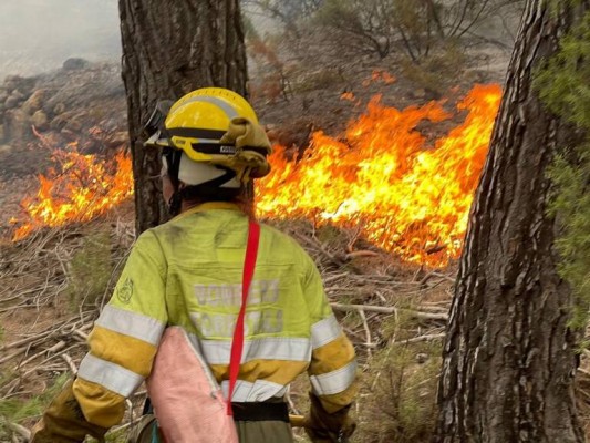 Montanejos rinde homenaje a los que lucharon contra el fuego en Alto Mijares
