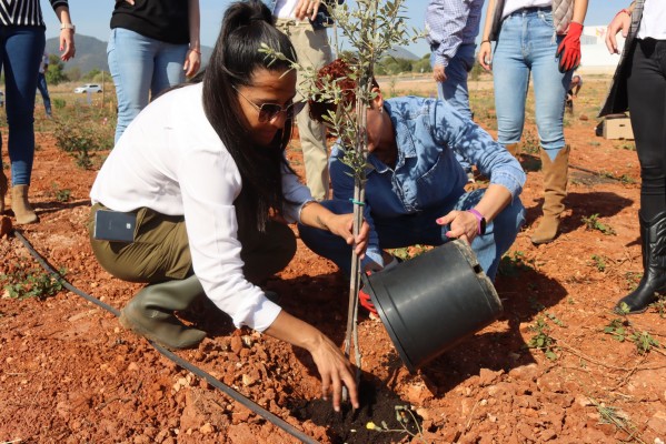 Onda celebra el Día de la Tierra plantando árboles en su Bosque Olímpico con empresas de la ciudad

