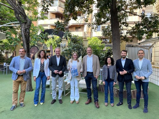 Sanidad, despoblación o economía: el programa de Barrachina para 'asaltar' la Diputación de Castellón