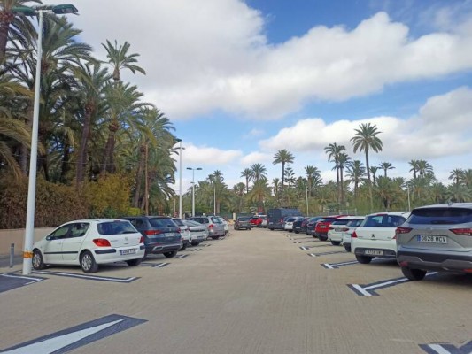 La Hiladora de Elche, donde Cultura rechazó un geriátrico por el tráfico y el palmeral, ahora aparcamiento