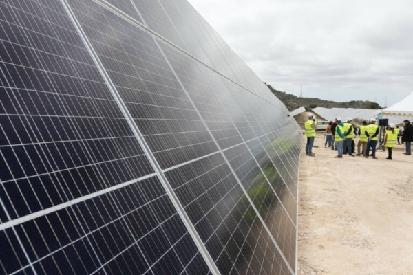 Dos firmas vinculadas a Pydesa impulsan otro parque fotovoltaico en Elche: 10 MW en Jubalcoi