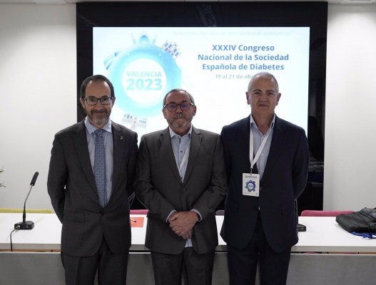 Más de 1.200 expertos en diabetes analizan en València la enfermedad y la aplicación de la tecnología en su tratamiento