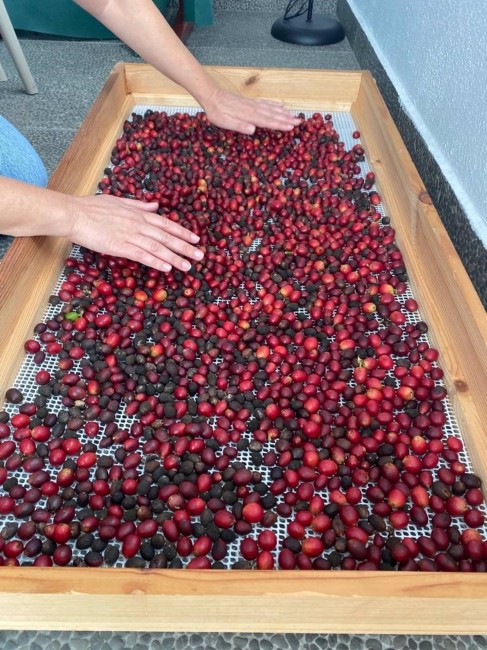 Foto: ECOFINCA NOGALES - 