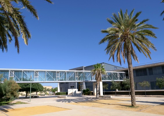 Tu Trámite Fácil: una 'startup' desde la UMH para ayudar en los trámites de ayudas públicas 
