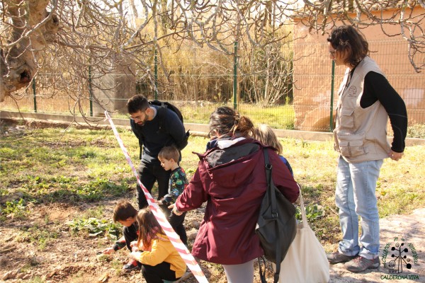 'Castelló és ecologia' celebrará este sábado el Día de la Tierra con un 'scape room' en el Pinar

