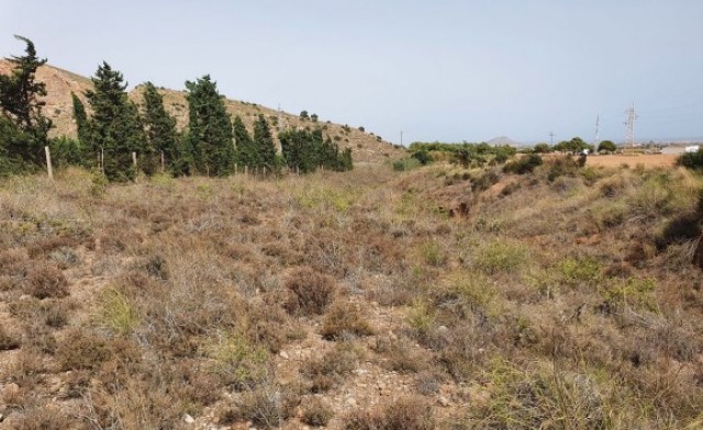 La Rambla de las Matildes o la apuesta por infraestructuras de laminación, sedimentación y retención de agua y la mejora de la biodiversidad 