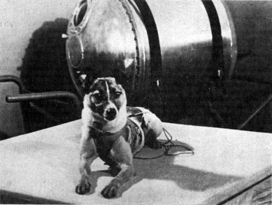 Se cumplen 59 años del viaje espacial de la perra Laika